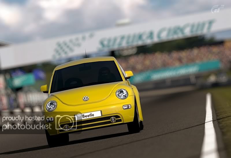GT5_1710_Bug1.jpg