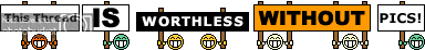 this_thread_is_worthless_without_pics.gif