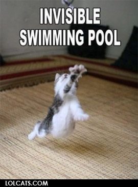 lolcatsdotcom7c7pwy6dfkrdodm3.jpg