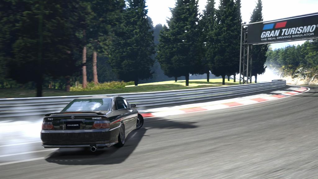 DeepForestRaceway_8_zps1a25f5b5.jpg