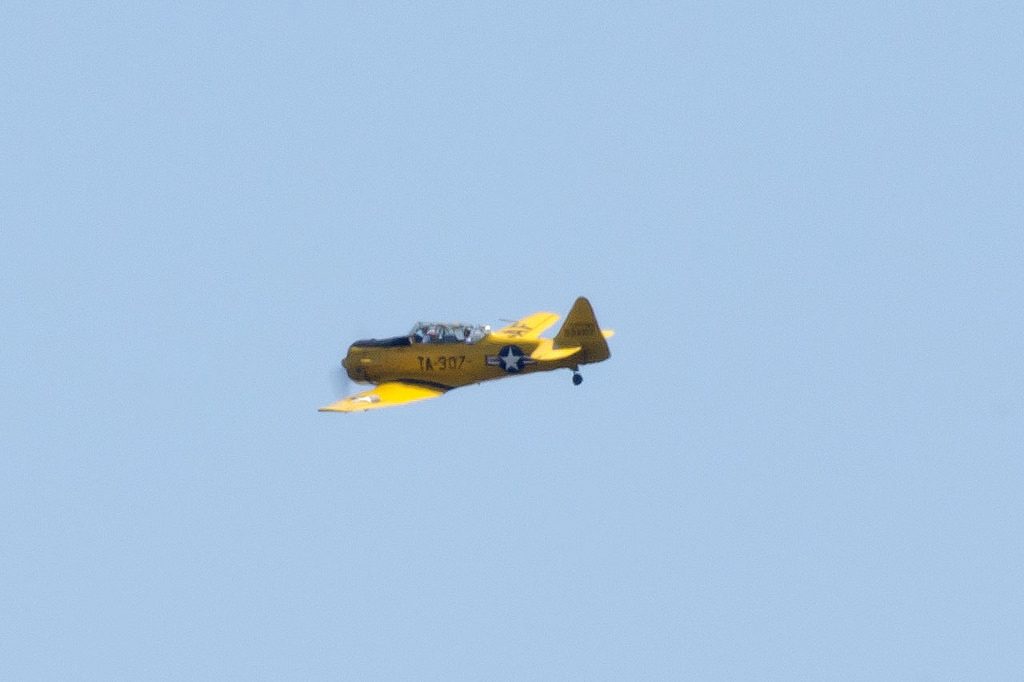 26002666733_b489633e4c_b.jpg