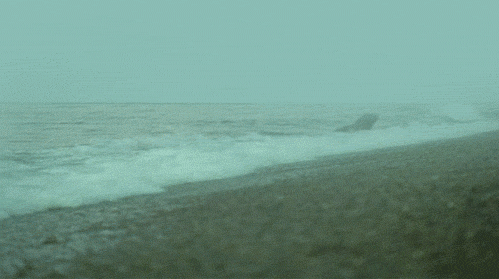 rB5rveI.gif