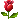 rose.gif