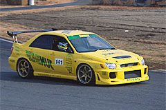 gdb-lemon7.jpg