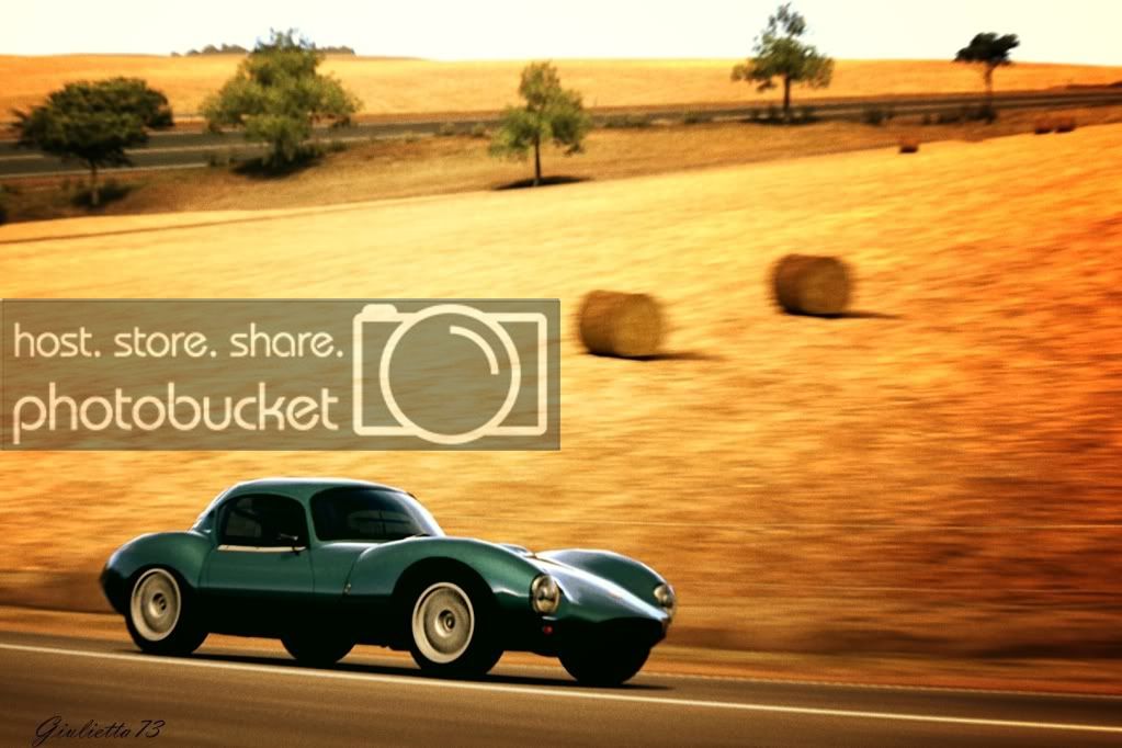 ginetta2.jpg