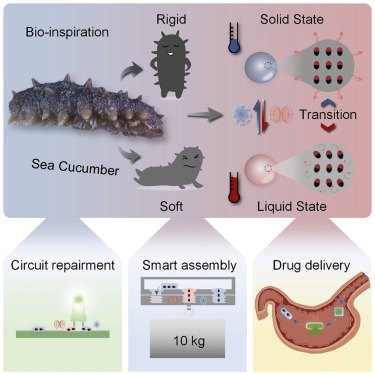 www.sciencedirect.com