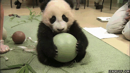 qosn89.gif