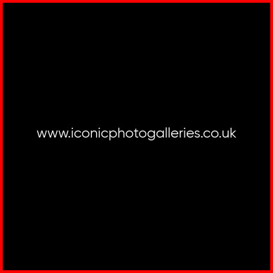 03886-mainmedimage.jpg