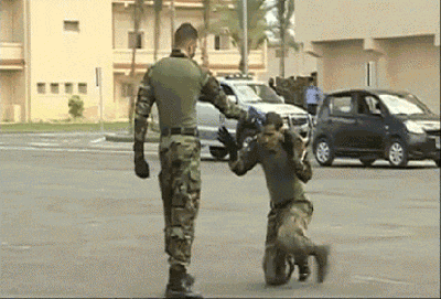 tumblr_mp4dqiQAGv1r88u00o1_500.gif