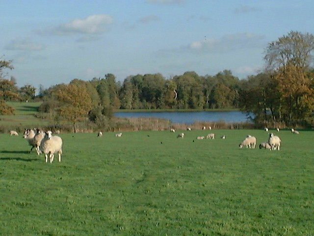Sheep%20lake%20TB.jpg