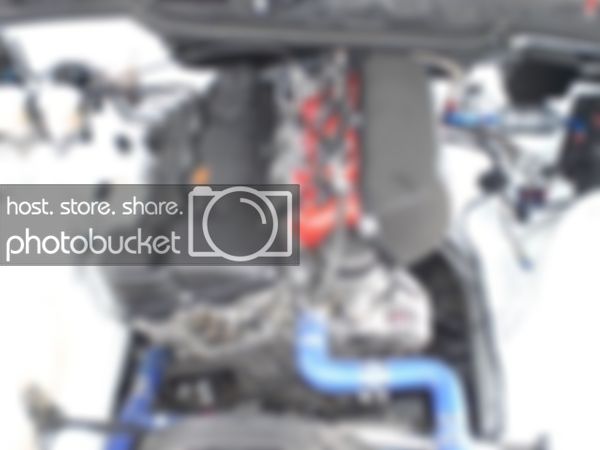 black_cup_car_004.jpg