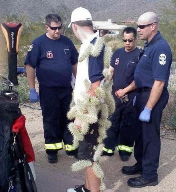 unexplainable-images-8.jpg