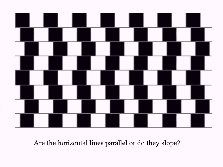 lineillusion.gif