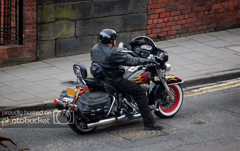 DSC_3746.jpg
