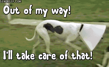 The Funny Gif Thread Page 139 Gtplanet