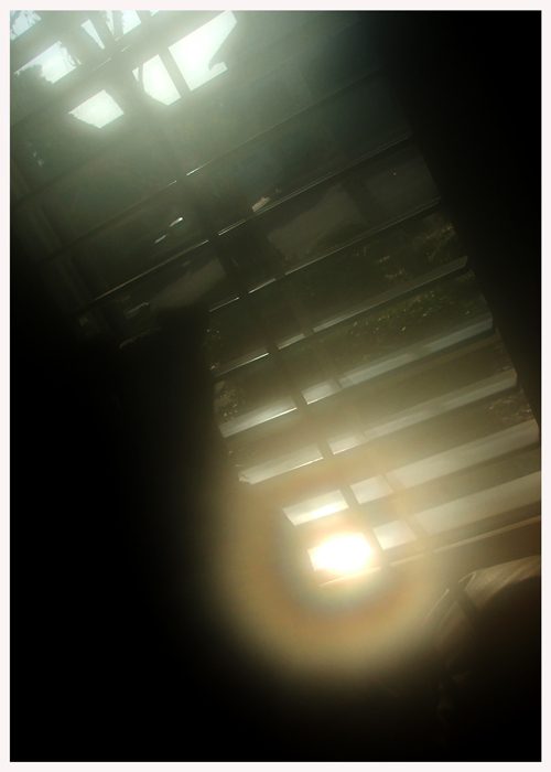 Secret_Window_by_torchfire.jpg