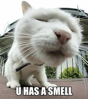 u-has-a-smell.jpg