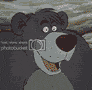 cruisebearjizz2.gif