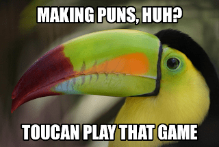 toucan+pun.png