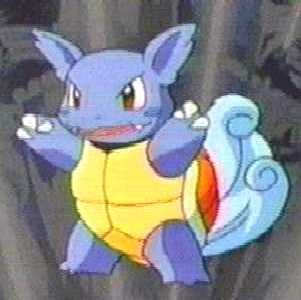 wartortle.gif
