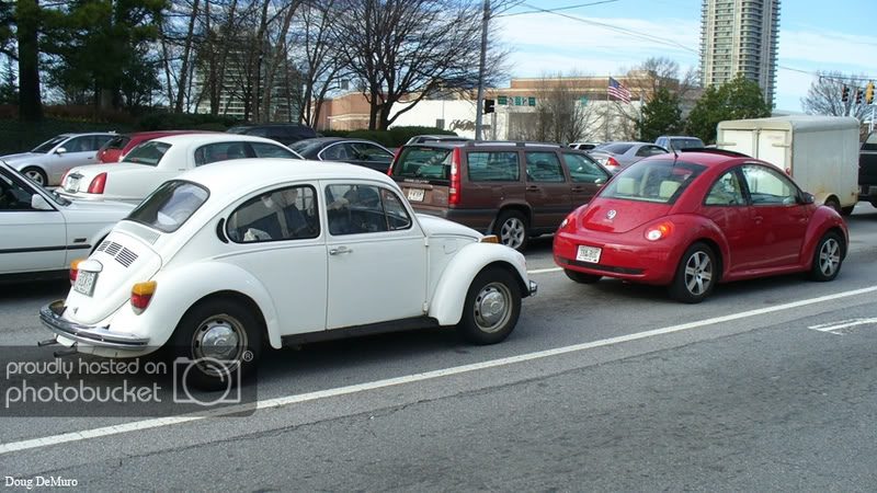 beetle-030307.jpg