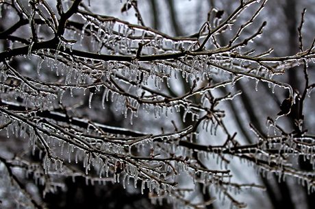 morningweatherdec22_2013-9.jpg