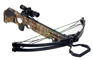 xbow2sm.jpg