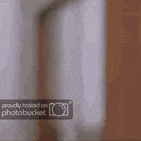 videoa.gif
