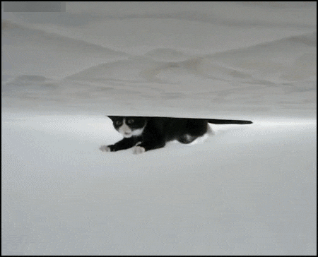 24-daily-gifdump-105.gif