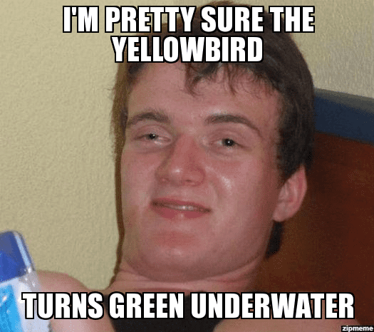 g1368033867234237779.jpg