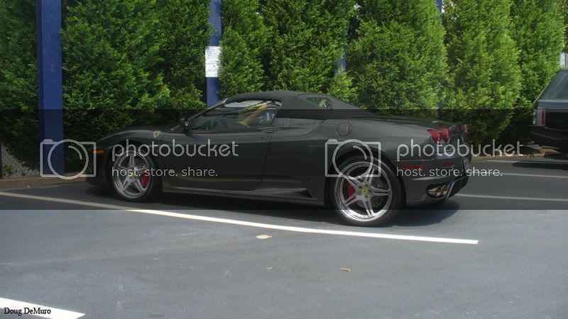 f430_spider-042808.jpg