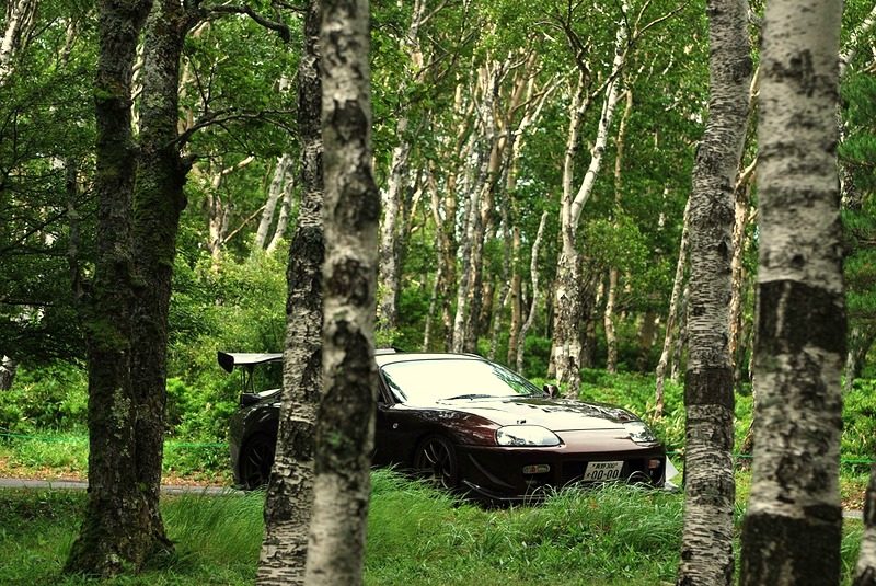 23978025_large-v13148229081.jpg