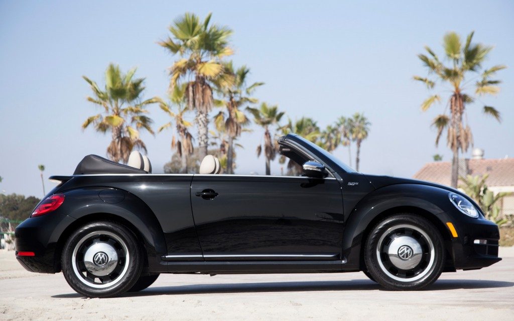 beetle2.jpg
