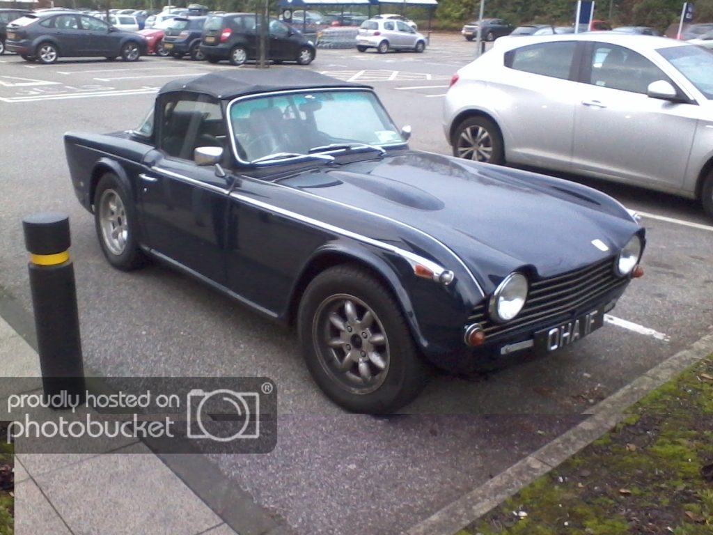 2012-11-16154120.jpg