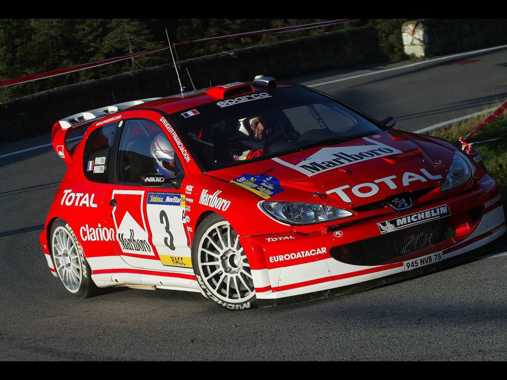 Peugeot206WRC.jpg
