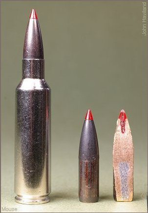 1500_sharp.jpg