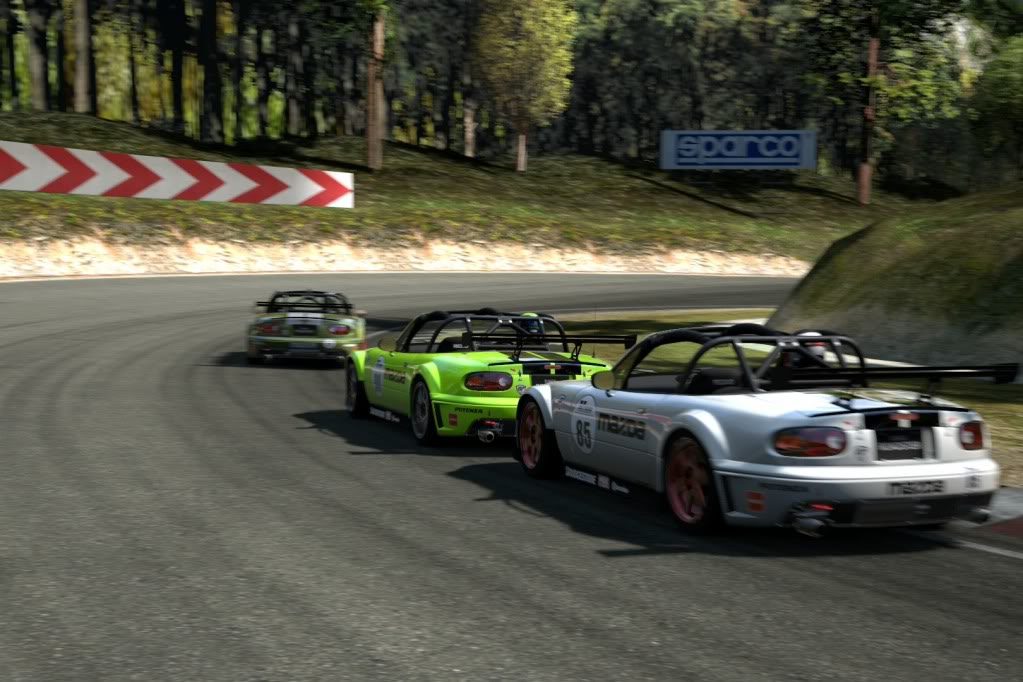TrialMountainCircuit_8.jpg