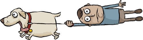 dog-not-handling-the-leash-well.jpg