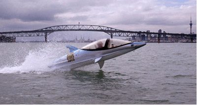 Bionic_Dolphin_2.jpg