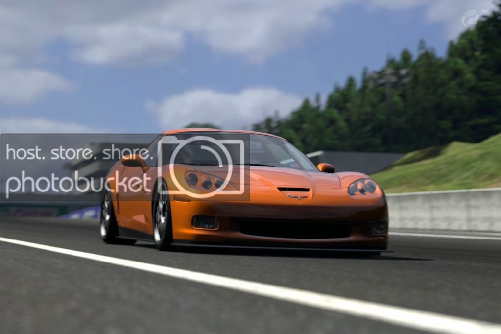 DeepForestRaceway_5.jpg