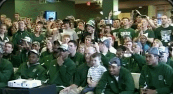 bobcats.gif