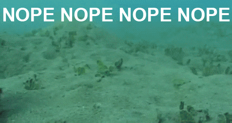 tumblr_mc7ffkMW4A1rrlbkp.gif