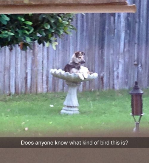 B5N4mkn.jpg