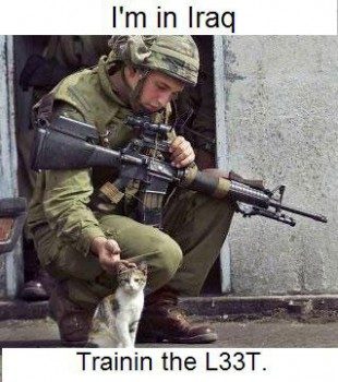 lolcatsdotcom1t7r3rd2b06xmse4.jpg