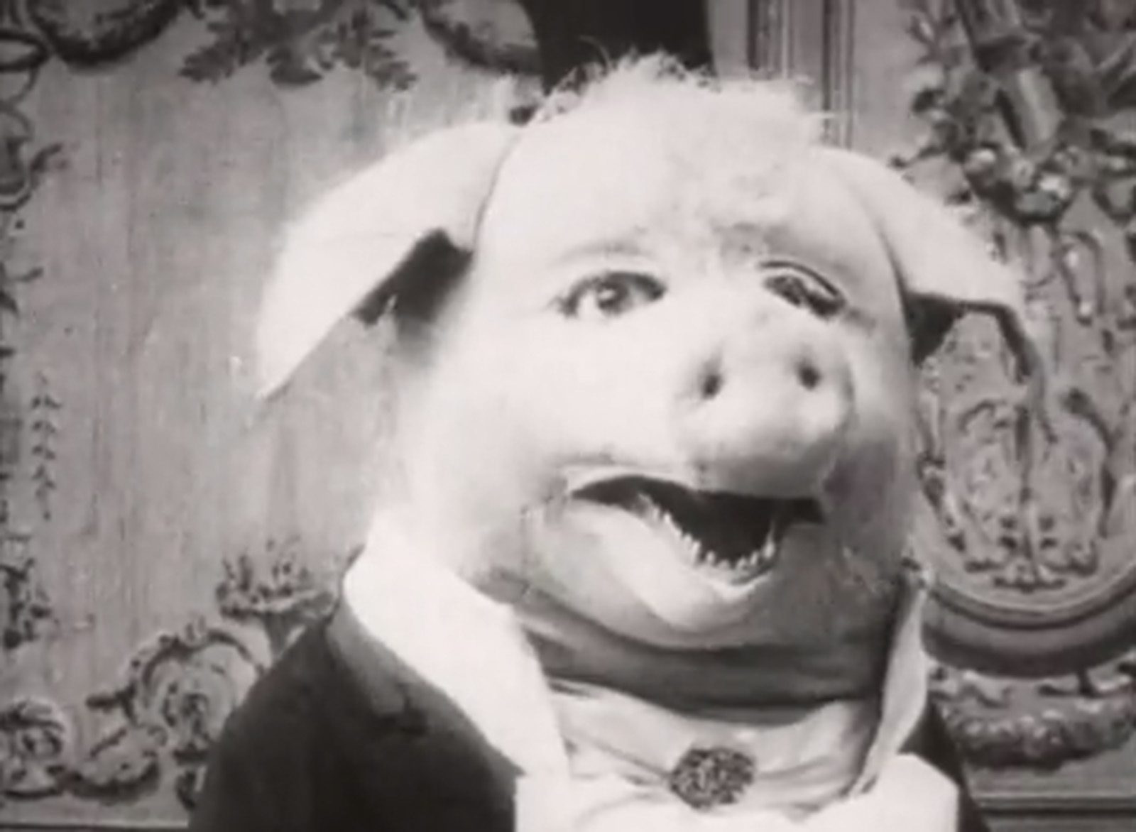 poster-cochon_danseur.jpg