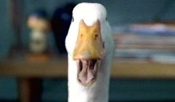 aflac.jpg