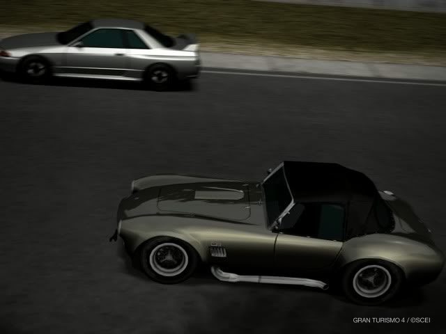 IMG0135-1.jpg
