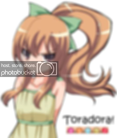ToradoraTaiga1.jpg