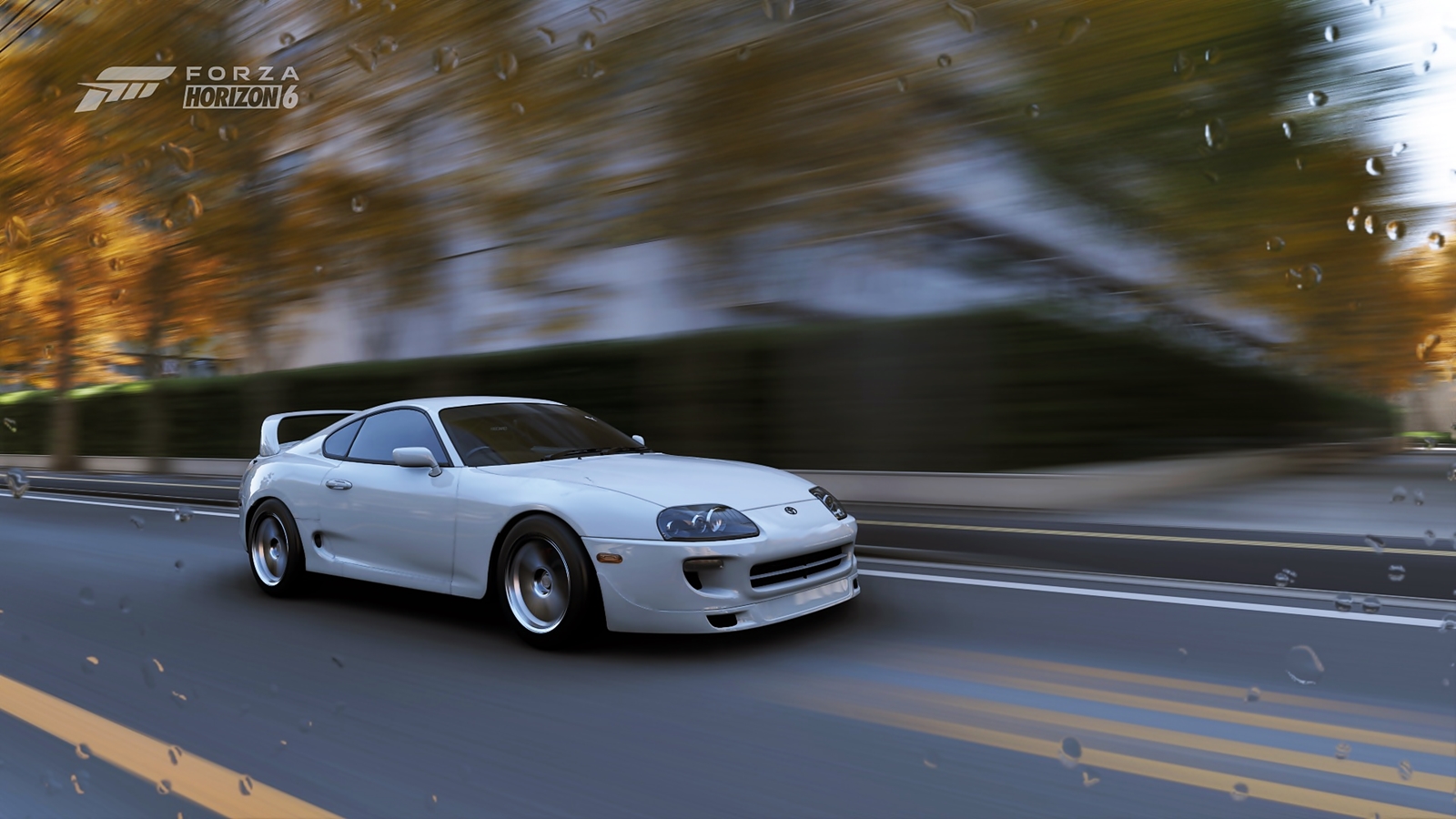 Supra4.jpg