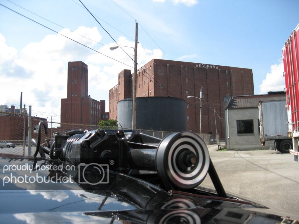 IMG_0903_zpstvc0ktrl.jpg
